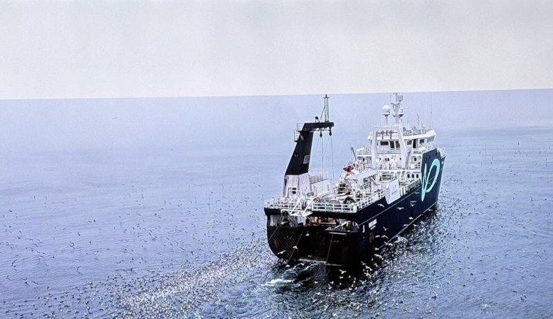 Besøk hos Nordic Wildfish